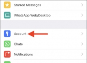 WhatsApp加密技术与用户隐私保护的核心